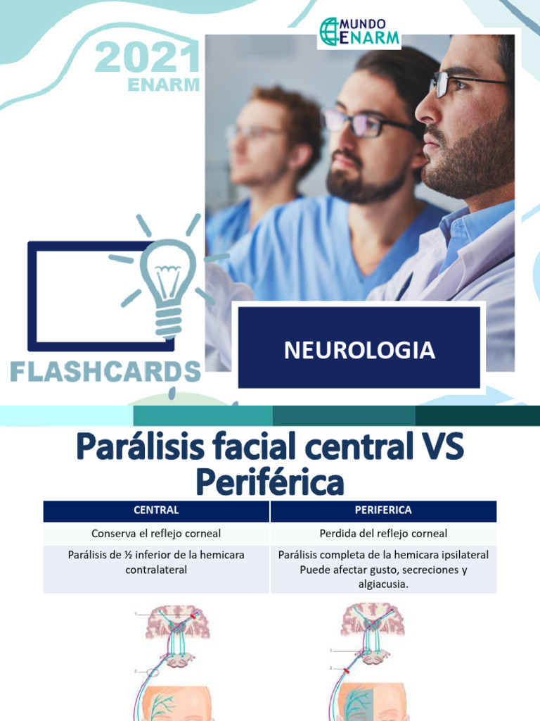 Neuro Flashcards | PDF