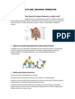 Consulta Del Segundo Trimestre