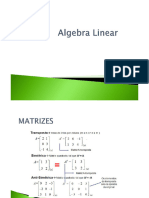 Apostila Algebra linear revisão