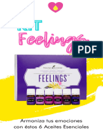Kit Feelings