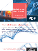 DNA Polymerisation