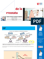 MI Exposición PATOLOGÍA PROSTÁTICA