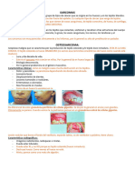 Patología Clase 1, Parcial 3