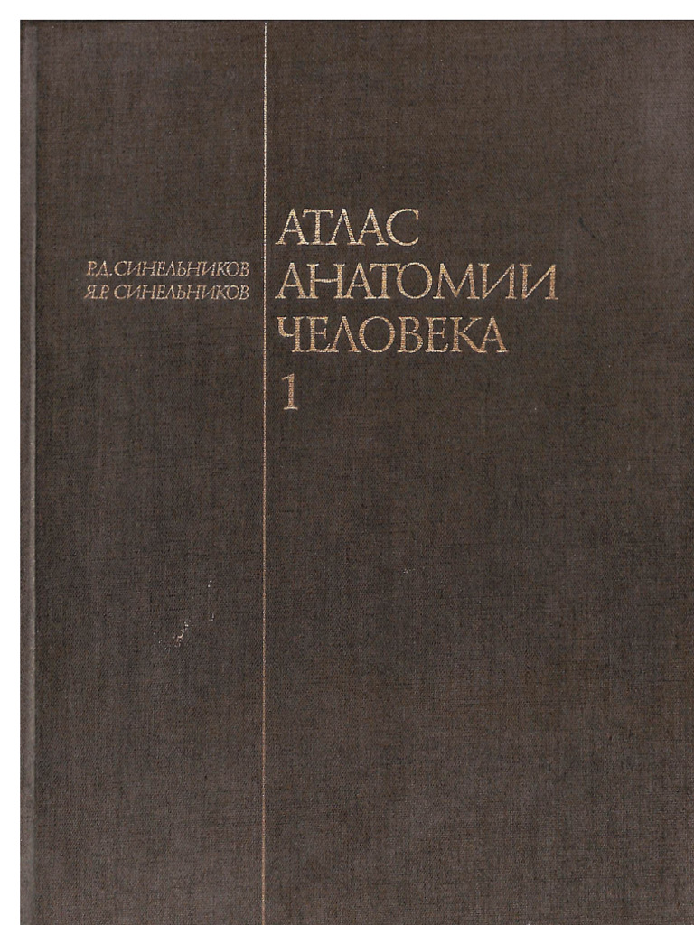 Атлас Анатомии Человека Том 1- Синельников Р-Д- 1989 | PDF