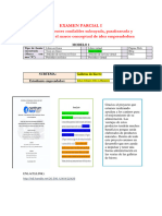 Examen Parcial I