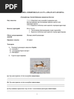 Жалаңаш күнге күйіп жатқан қыздар видео жоғары сапалы