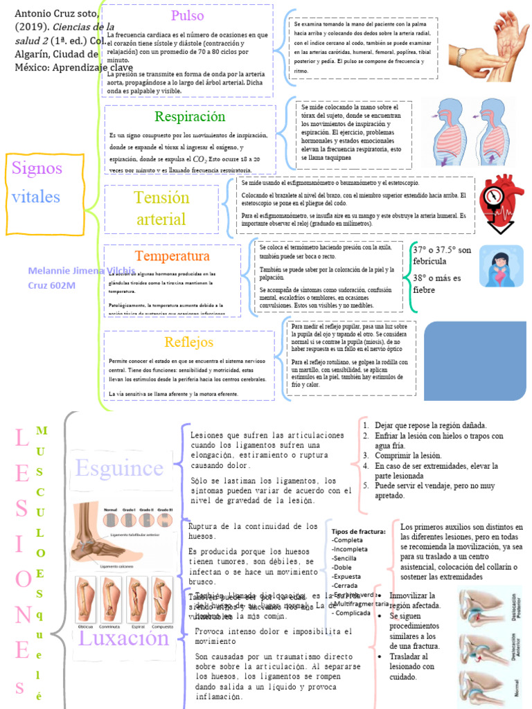 Signos Vitales y Lesiones Comunes | PDF