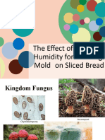 Anushkka Gupta - 3 - X Diamond - Effect On Bread Mould