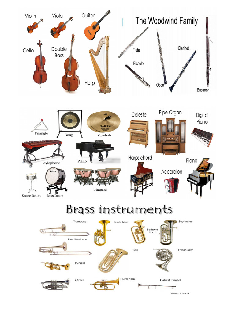Music Instruments | PDF