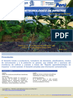 Reporte Agrometeorológico de Impactos N°017-2022 - Region Selva