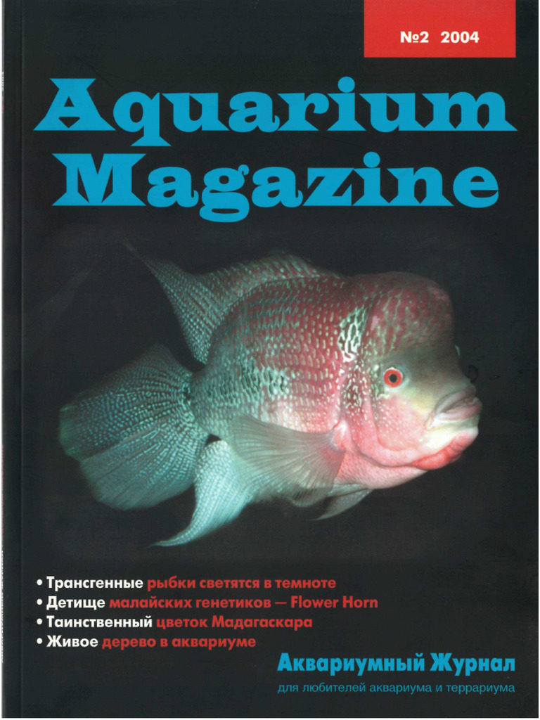 Cover image for Top 10 best aquarium magazines 2027
