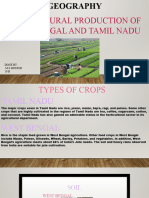 GEOGRAPHY Agricultural Production
