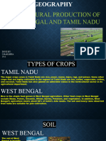 Geography Types of Crops