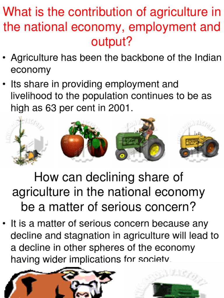 Impact of Agriculture on India's Economy | PDF