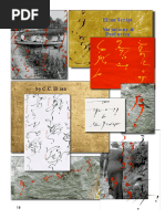 ES Variations Evolution Optimize