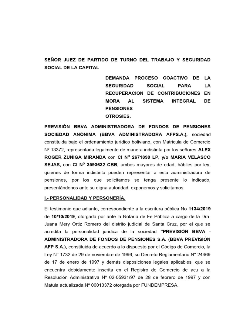 demanda-de-seguridad-social-largo-plazo-pdf