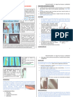 F2c3-Traumatologia-Fx de Femur Diafisiarias y Distales FX Rotula