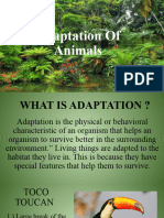 Adaption of Animals