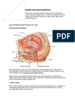 Alat Reproduksi Wanita Beserta Fungsinya