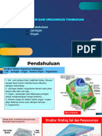 MATERI 3-Jaringan, Organ Tumbuhan