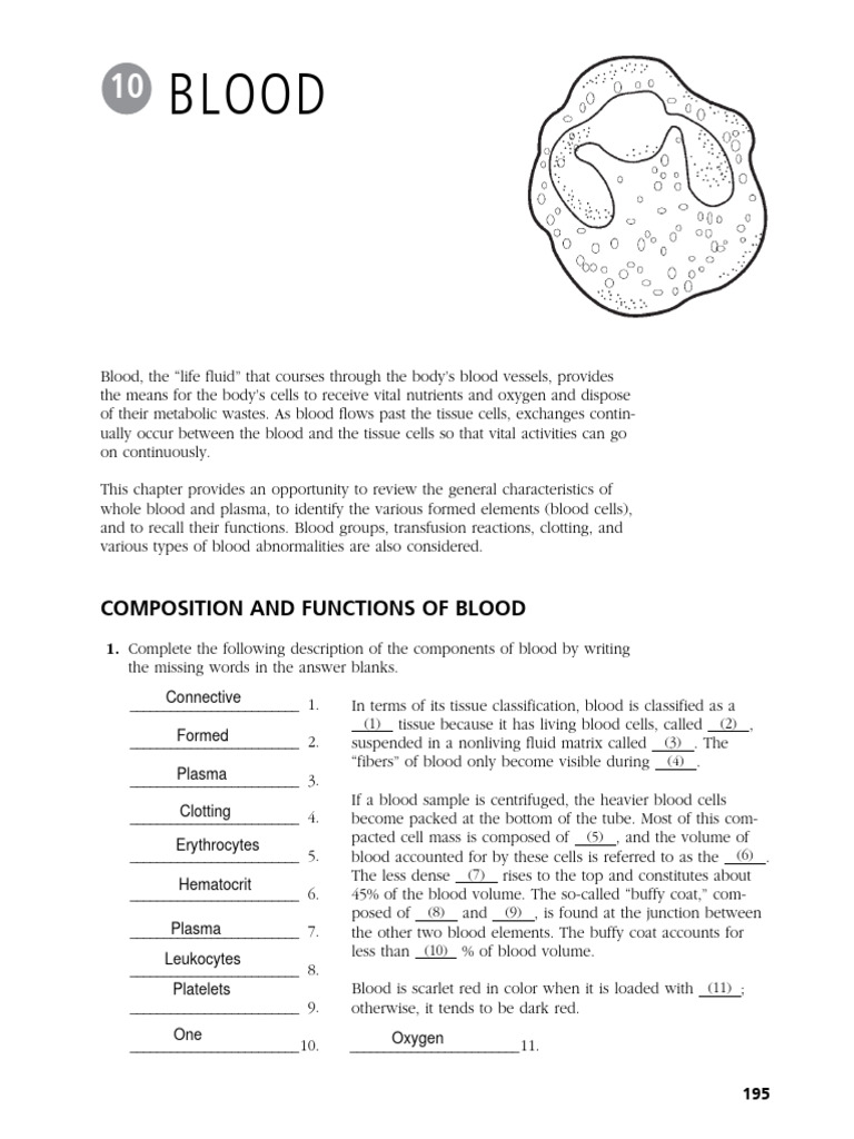 Blood | PDF