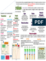 MapaMental CrescimentoMicrobiano