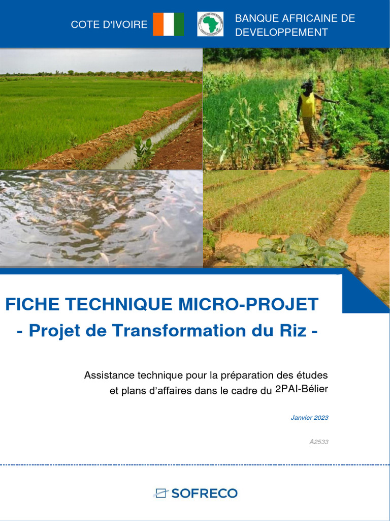Projet de Transformation du Riz en Côte d'Ivoire | PDF | Riz | Stockage ...