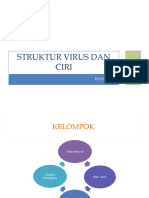 Struktur Virus Dan Ciri