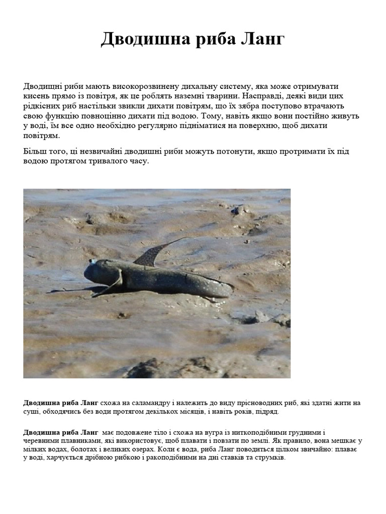 Дводишна риба Ланг | PDF