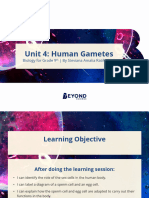 (Unit 4) Human Gametes