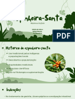 Espinheira Santa