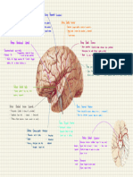 Psicobiologia