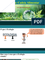 AULA ECOLOGIA Introdução A Ecologia, Cadeia Alimentar, Pirâmides Ecológicas e Produtividade