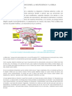 Las Emociones, La Neurociencia y La Biblia - Victorioso