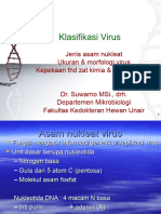 Klasifikasi Virus