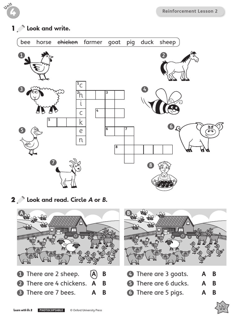 Learn with us 2 reinforcement unit 4 pdf animals and humans