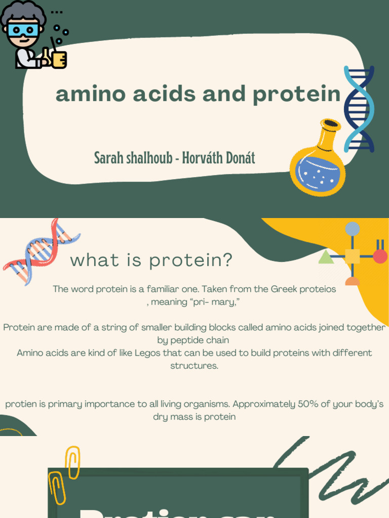 Amino Acids Protein PDF Proteins Denaturation (Biochemistry)