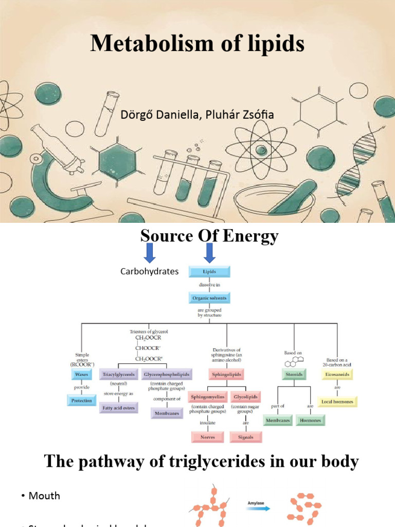 Metabolism of Lipids | PDF | Fatty Acid | Lipoprotein