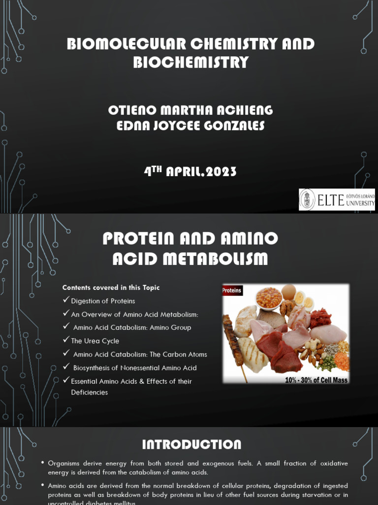 Protein and Amino Acid Metabolism PDF Amino Acid Diet & Nutrition