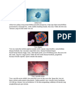 Adenovirus VIRUS