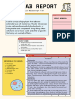 Cell Lab Report 