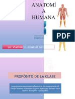 Anatomia Clase 2 - 2023 Planos A.