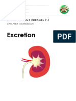 Excretion