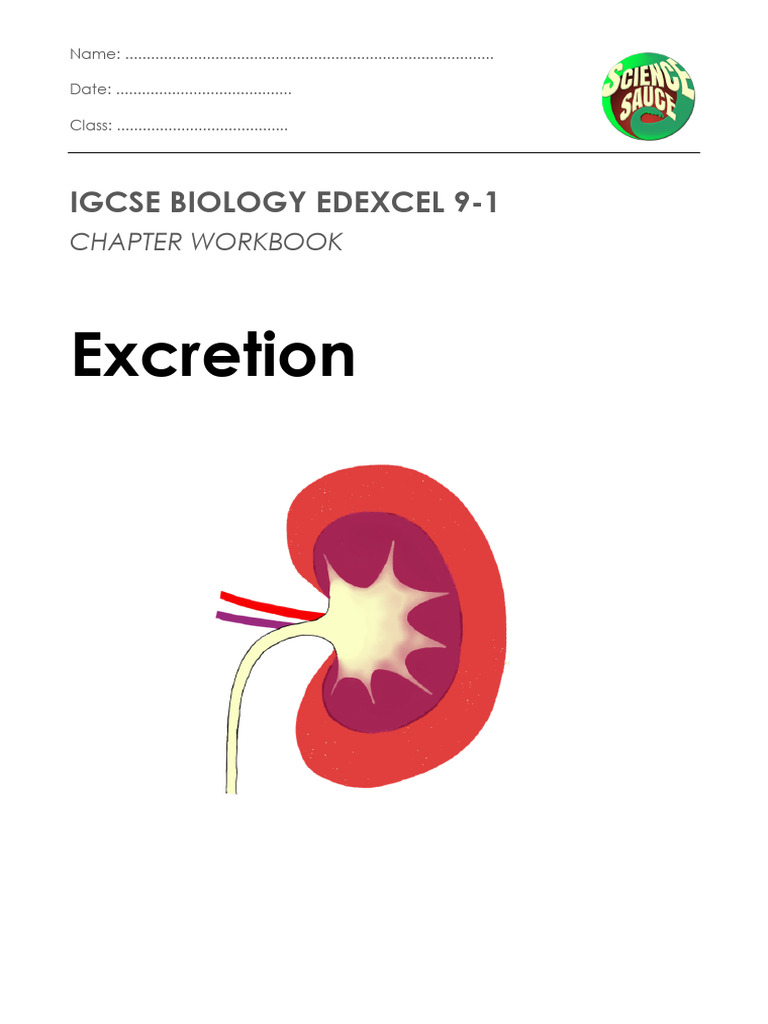 Excretion Pdf