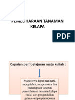 Pemeliharaan Tanaman Kelapa