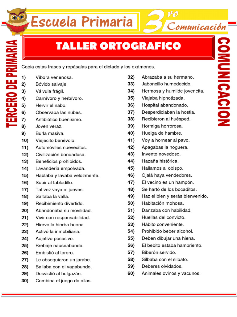 Ejercicios de Ortografía para 3° Primaria | PDF