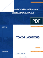 Semana 4 - Toxoplasma Gondii