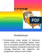 3 PPT Typhoid