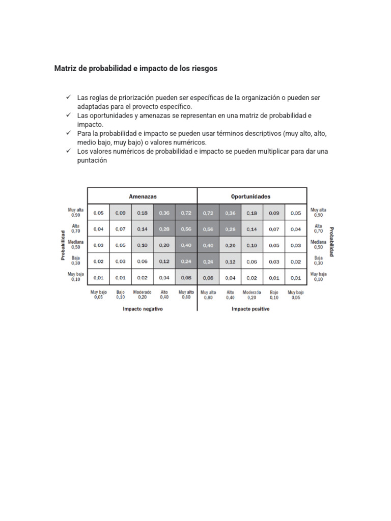 Matriz de probabilidad e impacto de los riesgos | PDF