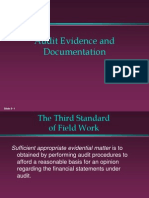 Audit Evidence and Documentation